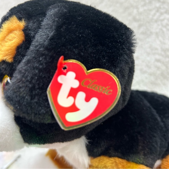 TY Classic Plush 2018 ROSCOE the Bernese Mountain Dog 9.5" gold glittery eyes - Picture 3 of 12